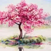 宇都宮の画像