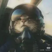 テイコウシン