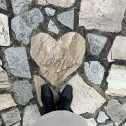 すずの画像