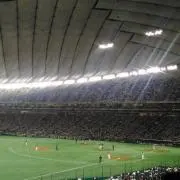 ohanaの画像