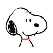 ゆは ୨♡୧プロフ必読お願いしますの画像