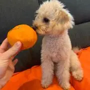 あっくん
