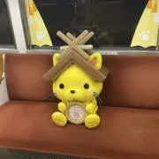 さねゆきの画像