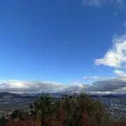 リッサンの画像