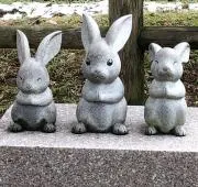 ぺんこの画像