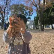koyuhaの画像
