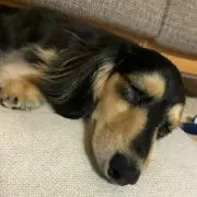 みぃ☆プロフ読んでね。の画像