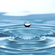 とみたま