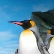としこ