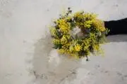 ＊May＊の画像
