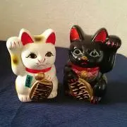 かぶたか (プロフ確認お願いします！)の画像