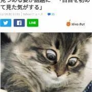 みよみよ