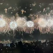 ドリーの画像