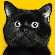 かおりんこ