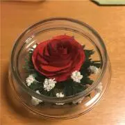 マップの画像