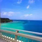 Alifeの画像