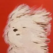 kurom1.o9iの画像