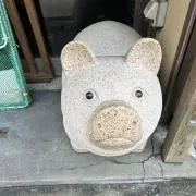 ど根性ガエル