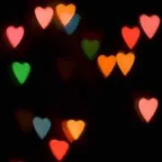 ぱぴこの画像