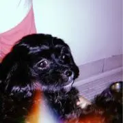 ナターシャ