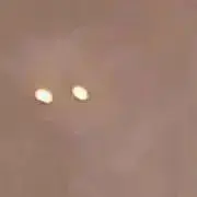 a1の画像