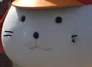 ニコミの画像