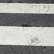さぐまんの画像