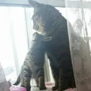 ぴかたん♪