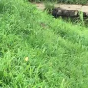岩瀬直樹の画像
