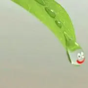 Pの画像