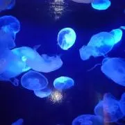 びんの画像