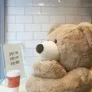りきちゃんの画像