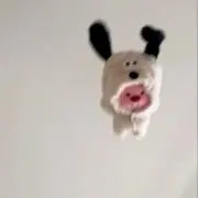 かわちいの画像