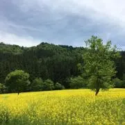 ベースマの画像