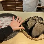 Yドリームの画像