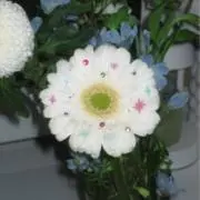 ❤️の画像