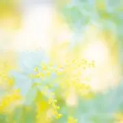 いっしゅんの画像