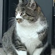 おこねの画像