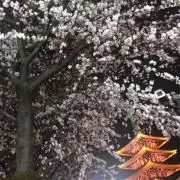 むむむ