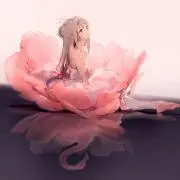 Aonの画像