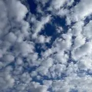 sk482の画像