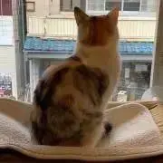 YOuの画像