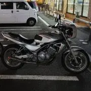 こはるりの画像