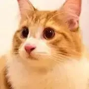 ゆりなの画像