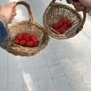 5353の画像