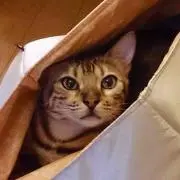 ぽみ(・∀・)の画像