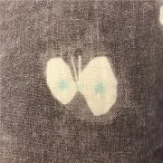 minaの画像