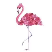 ‪❤︎ ‬