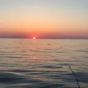 みるる