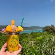 Rの画像